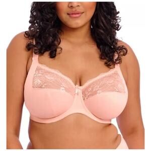 Elomi EL4111BAK light pink blush lace Morgan Underwire Banded Bra 40DDD B1372